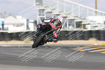 media/Feb-03-2024-SoCal Trackdays (Sat) [[767c60a41c]]/11-Turn 16 (2pm)/